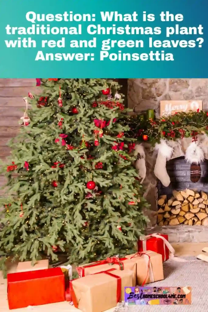 hard christmas trivia questions and answers pdf printable
interesting christmas trivia questions and answers
italian christmas trivia questions and answers
international christmas trivia questions and answers