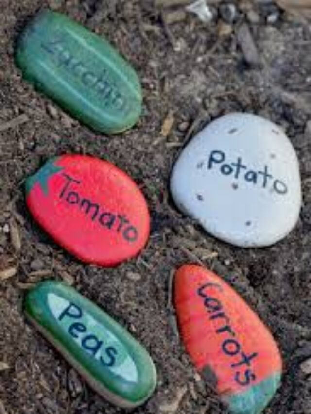 How to Make Painted Rock Garden Markers (in 9 Easy Steps)