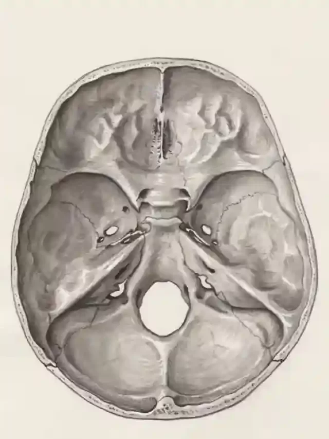 Active le Cerveau de Ton Enfant !