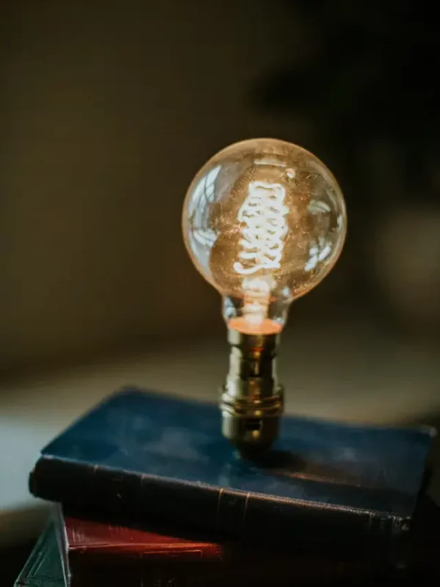 photo-1616017640739-44ce2bfd9b4e