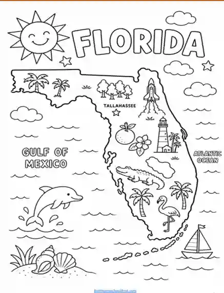 Florida themed activities
Florida learning activities
Florida science worksheets