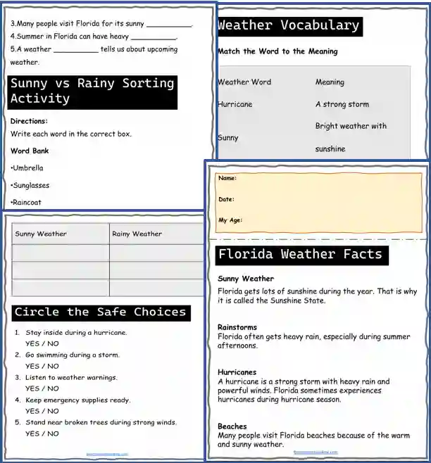 Florida craft activities
Florida DIY crafts for kids