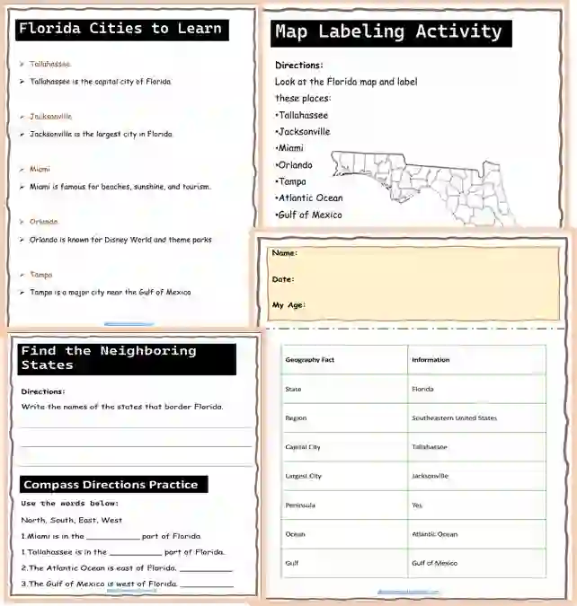 Florida facts worksheets
Florida animal worksheets