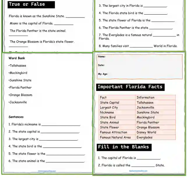 Florida homeschool worksheets
Florida geography worksheets