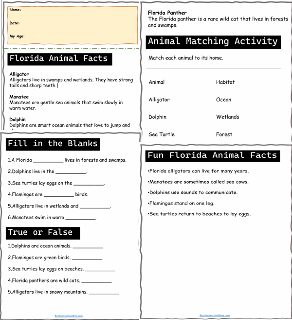 Florida weather worksheets
Florida history worksheets
