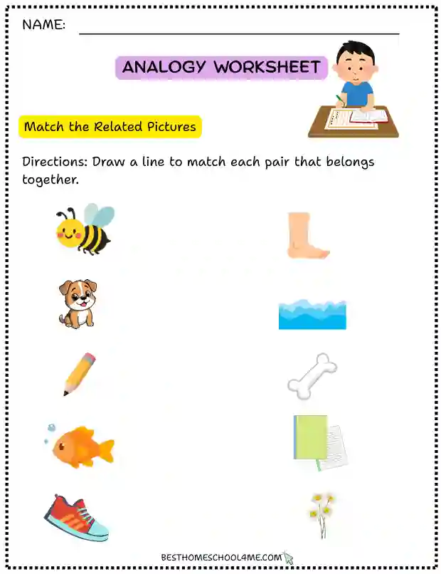 Analogy Activities for Students