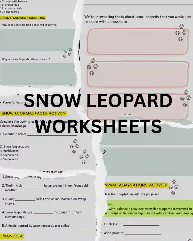 snow leopard characteristics worksheet for kids