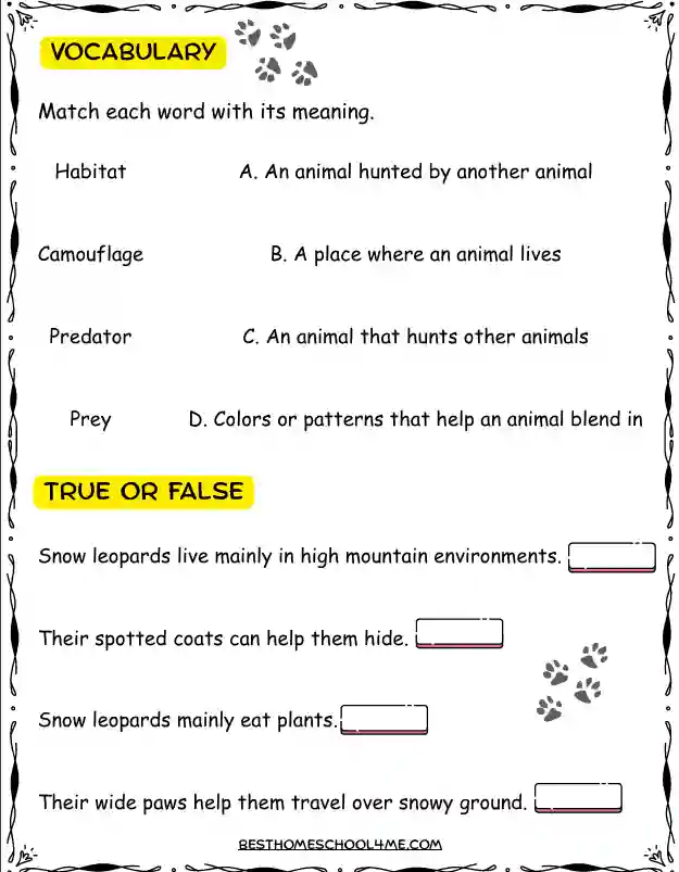 snow leopard science activities for homeschool