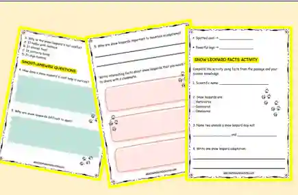 snow leopard classroom worksheets