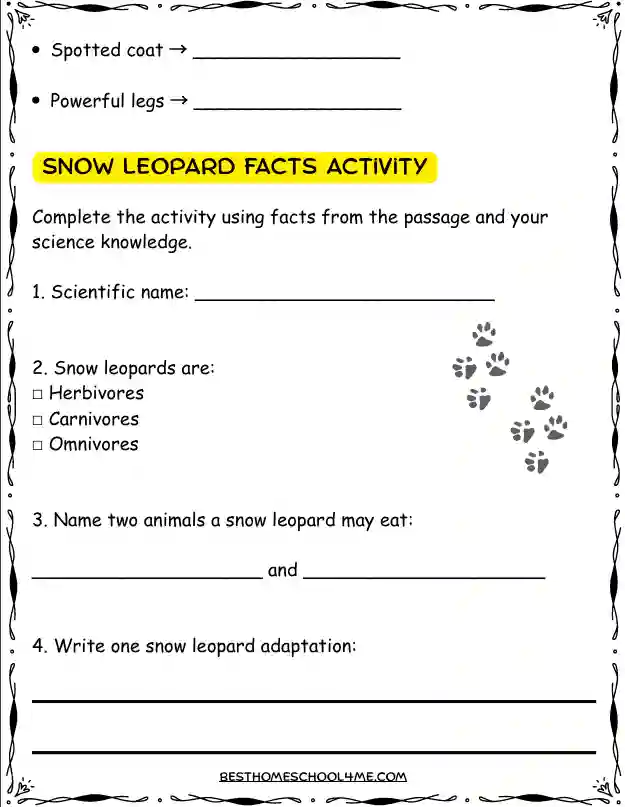 snow leopard reading activities for elementary students