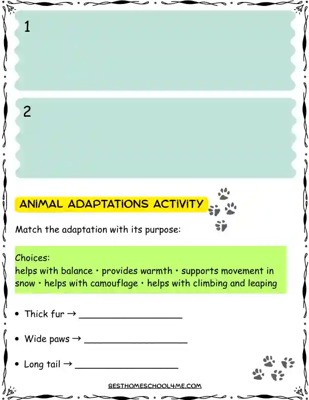 snow leopard mountain habitat activities