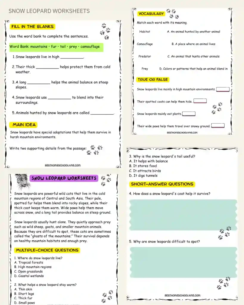 snow leopard endangered species worksheet
