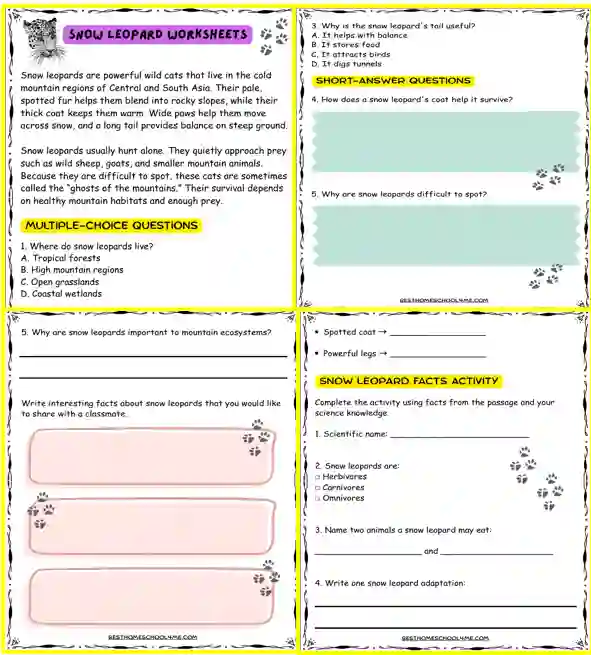 snow leopard wildlife worksheets for kids