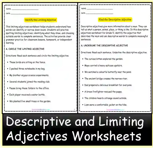 Descriptive vs limiting adjectives worksheet